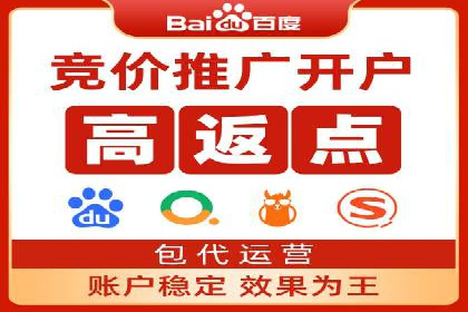 百度广告投放策略优化及成功案例解析